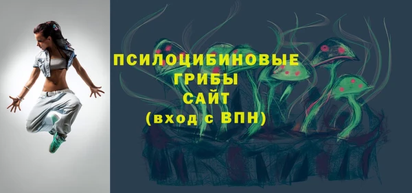 Альфа ПВП Осинники