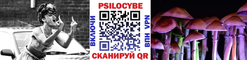 Купить где  Рыльск  Псилоцибиновые грибы Cubensis 
